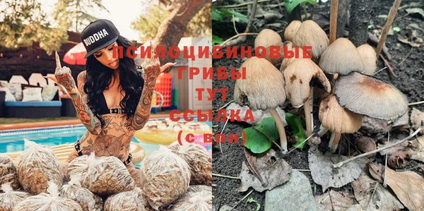 эйфоретик Богданович