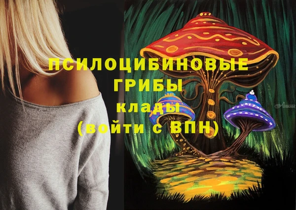 не бодяженный Сосновоборск