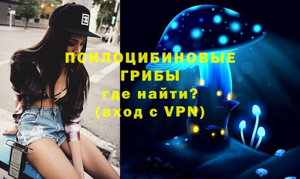 скорость Богородицк