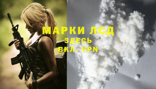 эйфоретик Богданович
